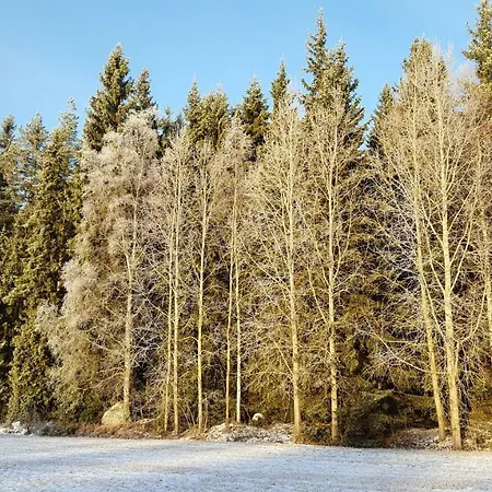 Hilupilttuu Chalet *