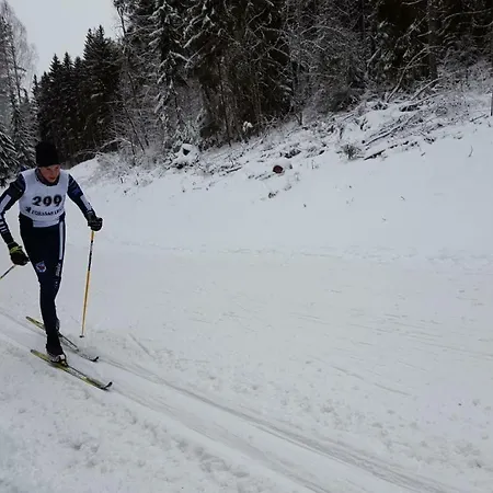 Hilupilttuu Alpstuga Tammela