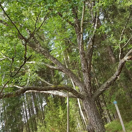 샬레 Hilupilttuu Tammela