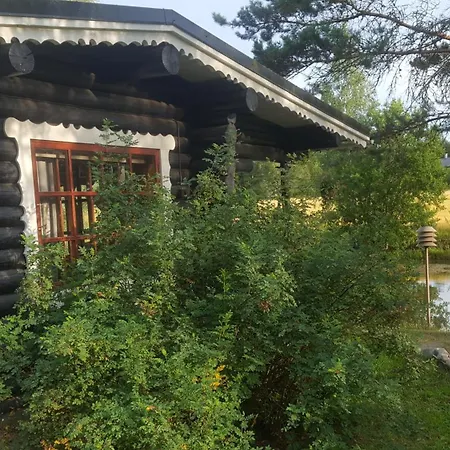 Hilupilttuu Tammela