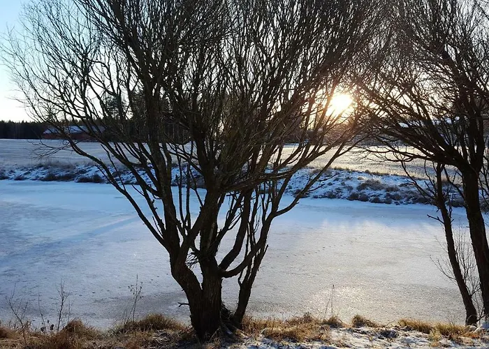 木屋 Hilupilttuu *