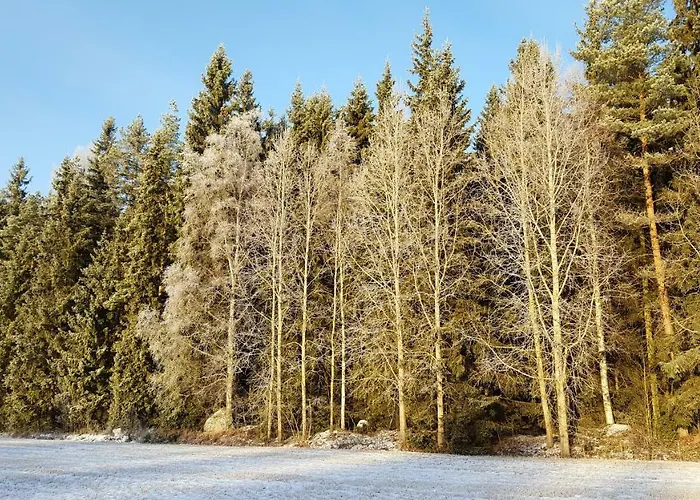 Hilupilttuu 木屋 *