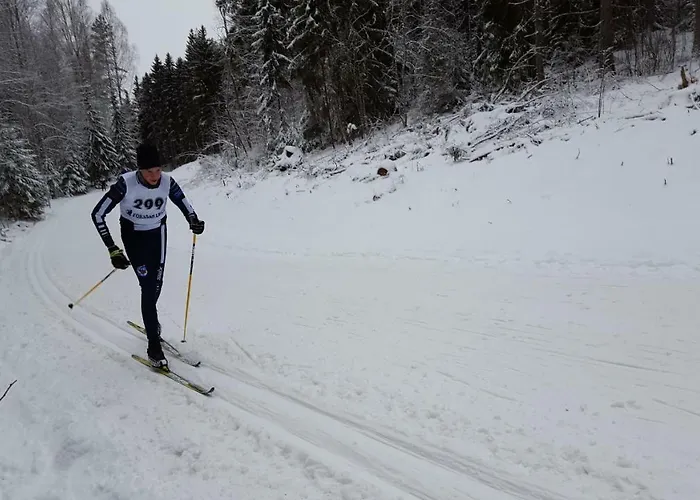 Hilupilttuu 木屋 Tammela