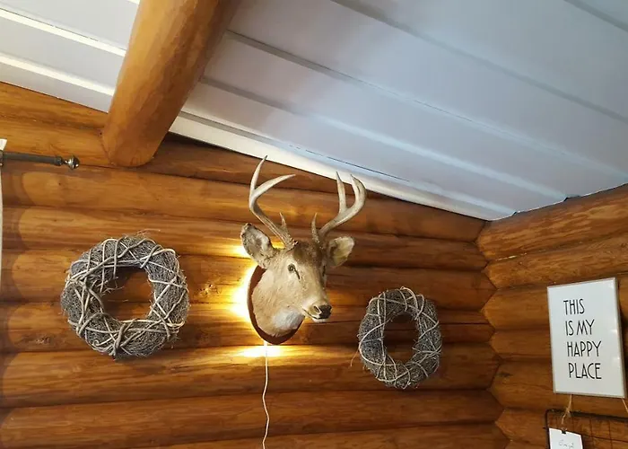 Hilupilttuu * Tammela